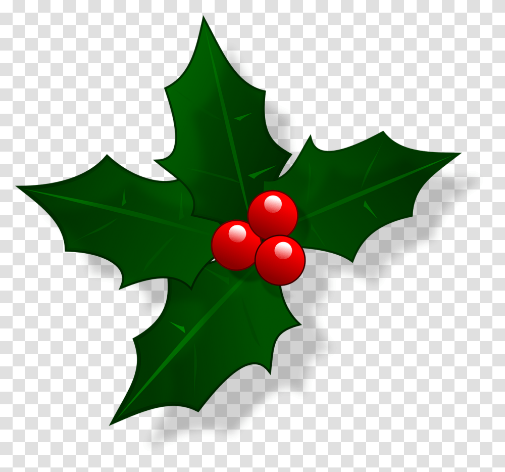 Mail Christmas Holly Christmas Holly, Leaf, Plant, Bonfire, Flame Transparent Png
