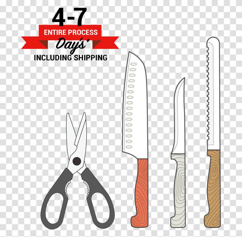 Mail Order Knife Sharpening, Weapon, Weaponry, Blade, Scissors Transparent Png