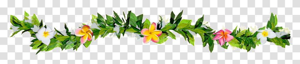 Maile Lei Clip Art, Plant, Leaf, Flower, Petal Transparent Png