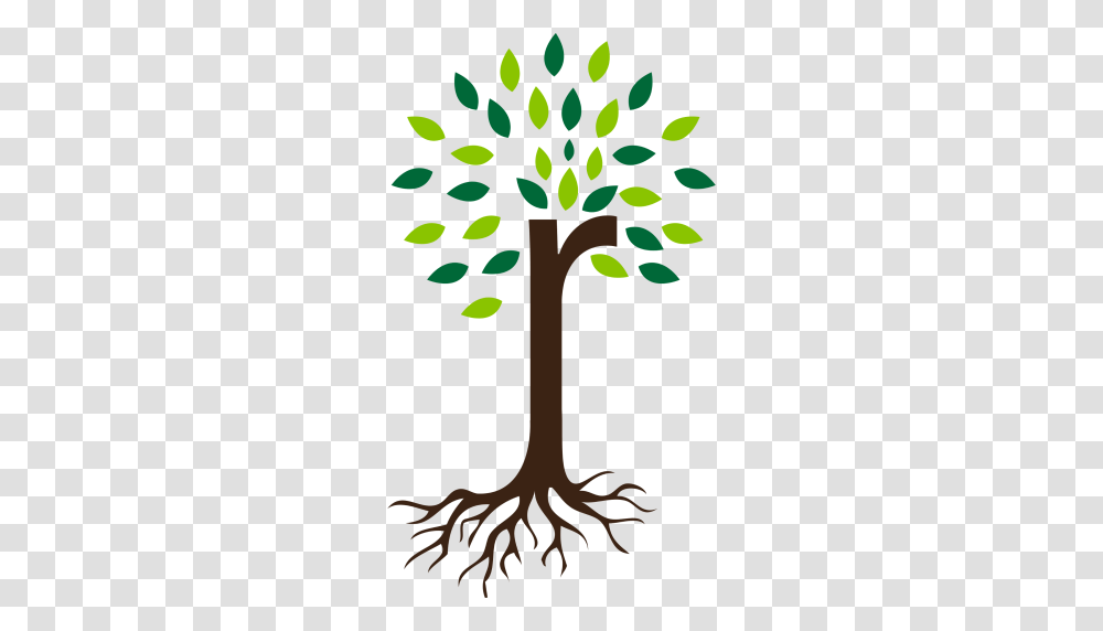 Mailing List Cta Rugged Root, Plant, Tree, Cross Transparent Png