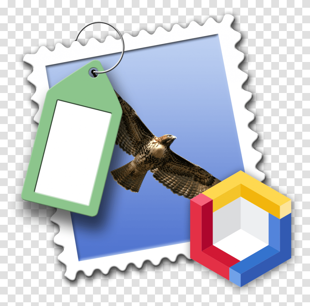 Mailsuite Apple Mail, Bird, Animal, Eagle, Flying Transparent Png