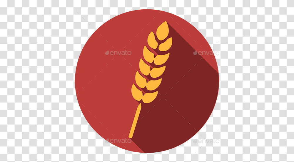 Main Allergy Icons Package Language, Plant, Food, Vegetable, Pollen Transparent Png