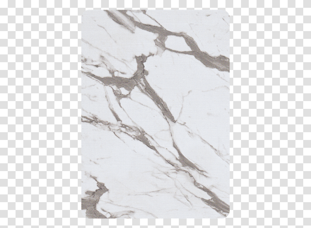 Main Bloc Marble Playing Cards, Plant, Root, Stain, Tree Transparent Png