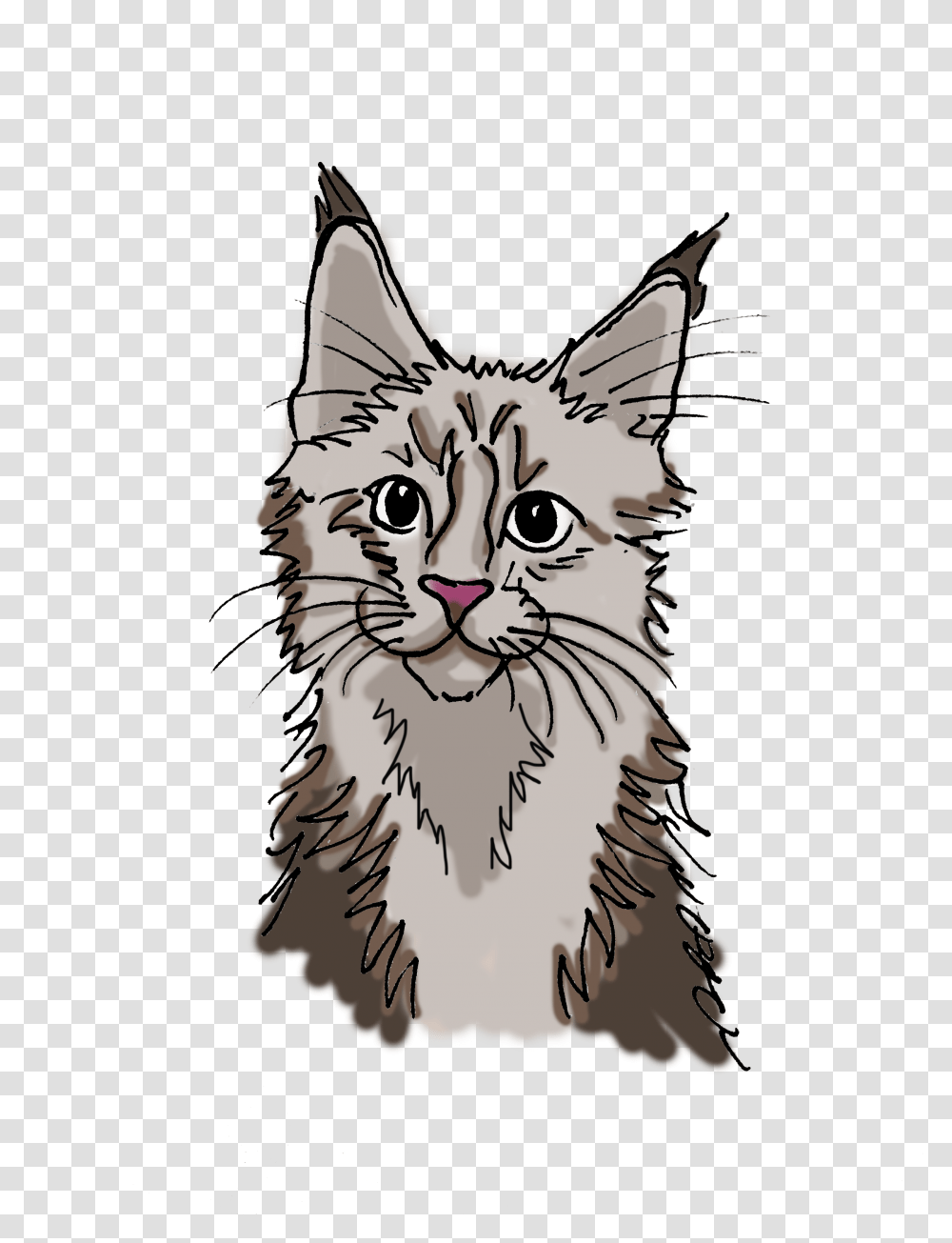 Main Coon Katze Cartoon, Cat, Pet, Mammal, Animal Transparent Png