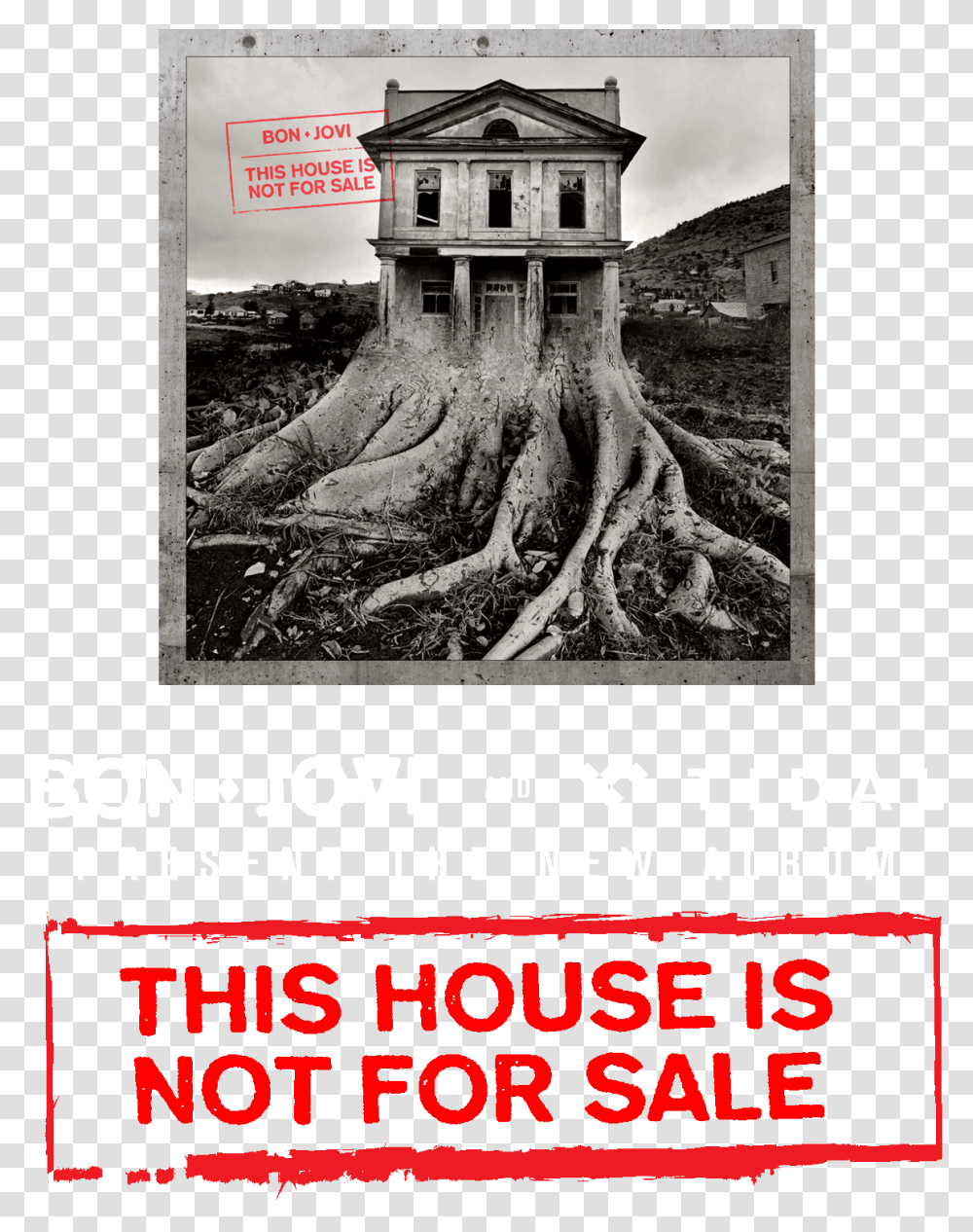 Main Tile Image House Is Not For Sale Cd, Root, Plant, Advertisement, Poster Transparent Png