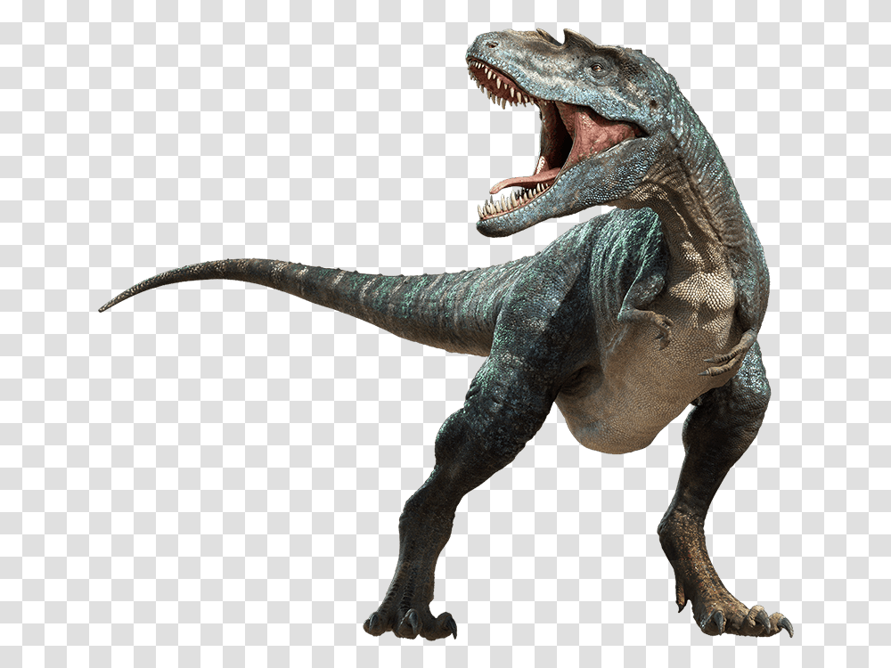 Main Top Rexx, Fantasy, Dinosaur, Reptile, Animal Transparent Png