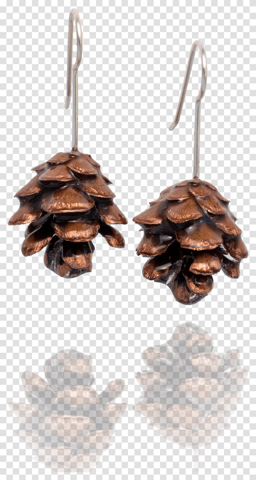 Maine Pinecone Earrings Solid, Fungus, Plant, Animal, Sea Life Transparent Png