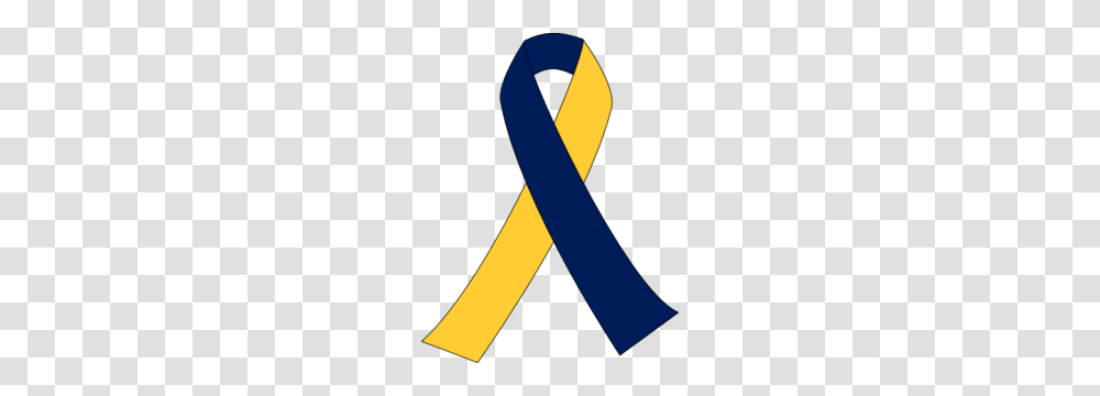 Maize And Blue Ribbon Clip Art, Tool, Accessories, Accessory Transparent Png
