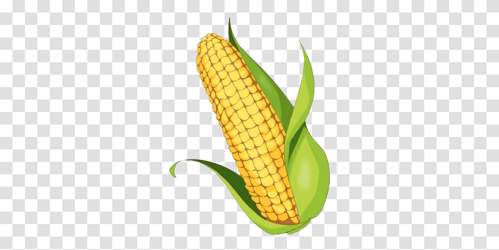 Maize Clipart Background, Plant, Corn, Vegetable, Food Transparent Png