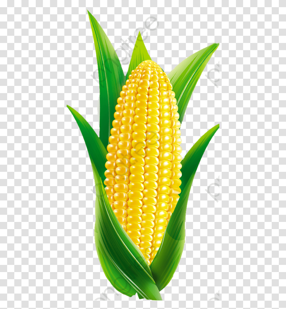 Maize Clipart Cartoon Corn, Plant, Pineapple, Fruit, Food Transparent Png