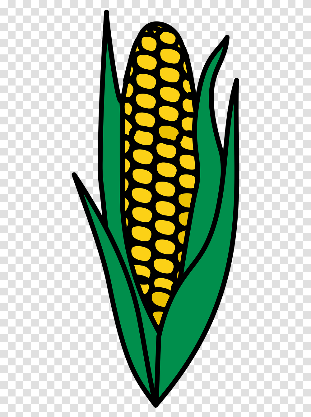 Maize Clipart, Plant, Corn, Vegetable, Food Transparent Png