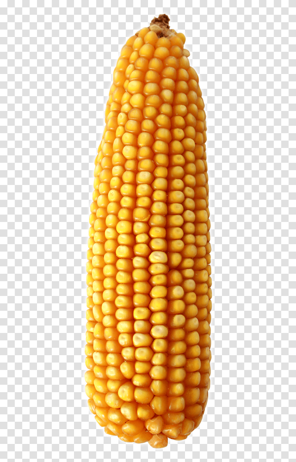 Maize Download Corn On The Cob, Plant, Vegetable, Food, Pineapple Transparent Png