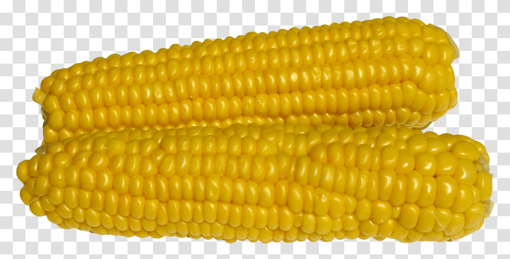 Maize, Plant, Corn, Vegetable, Food Transparent Png