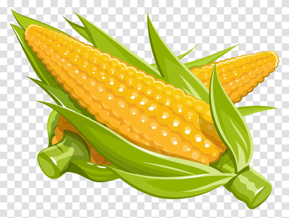 Maize Royalty Free Illustration Corn Cartoon, Plant, Vegetable, Food Transparent Png