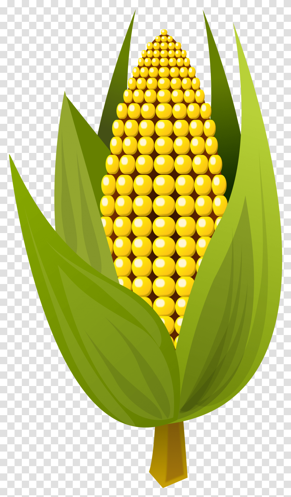 Maizefruitleaf Corn Clipart, Plant, Vegetable, Food, Pineapple Transparent Png