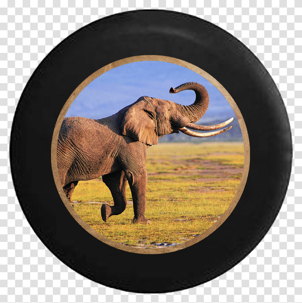 Majestic African Elephant Safari Endangered Trunk Jeep Elephants In Their Habitat, Wildlife, Mammal, Animal Transparent Png
