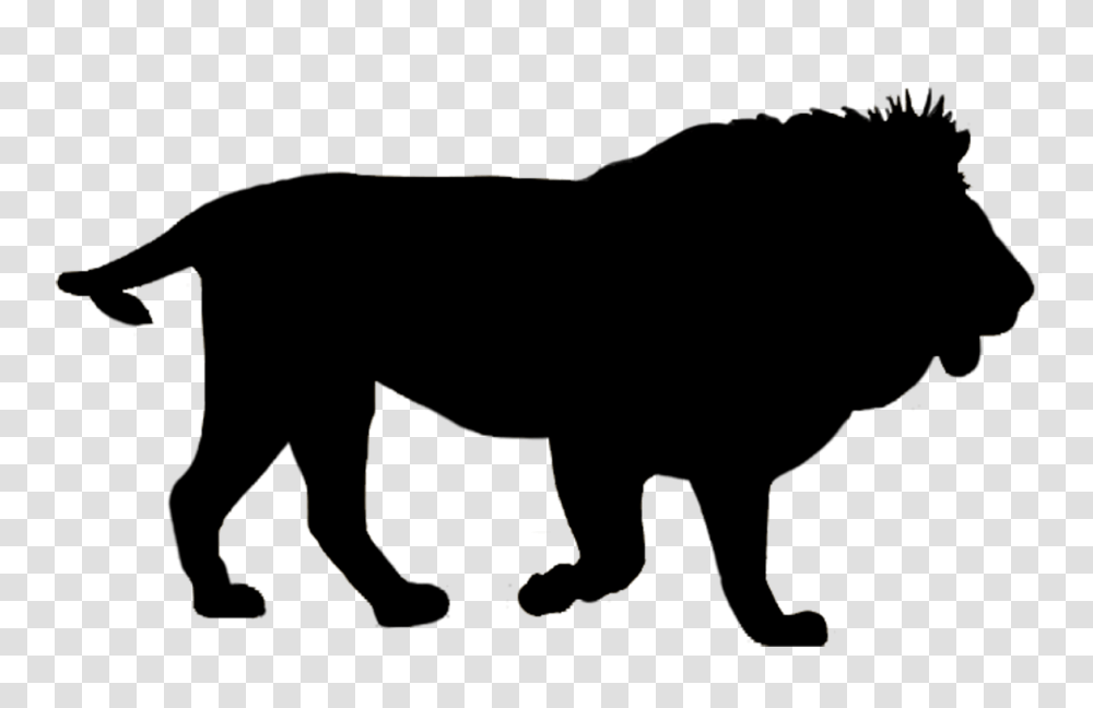 Majestic Lion Soda Can Clipart, Wildlife, Animal, Mammal, Panther Transparent Png