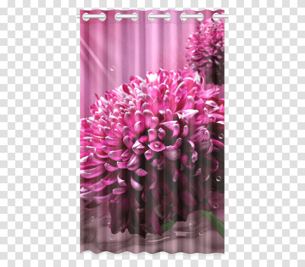 Majestic Magenta Flowers Water Background New Window Window Valance, Dahlia, Plant, Blossom Transparent Png