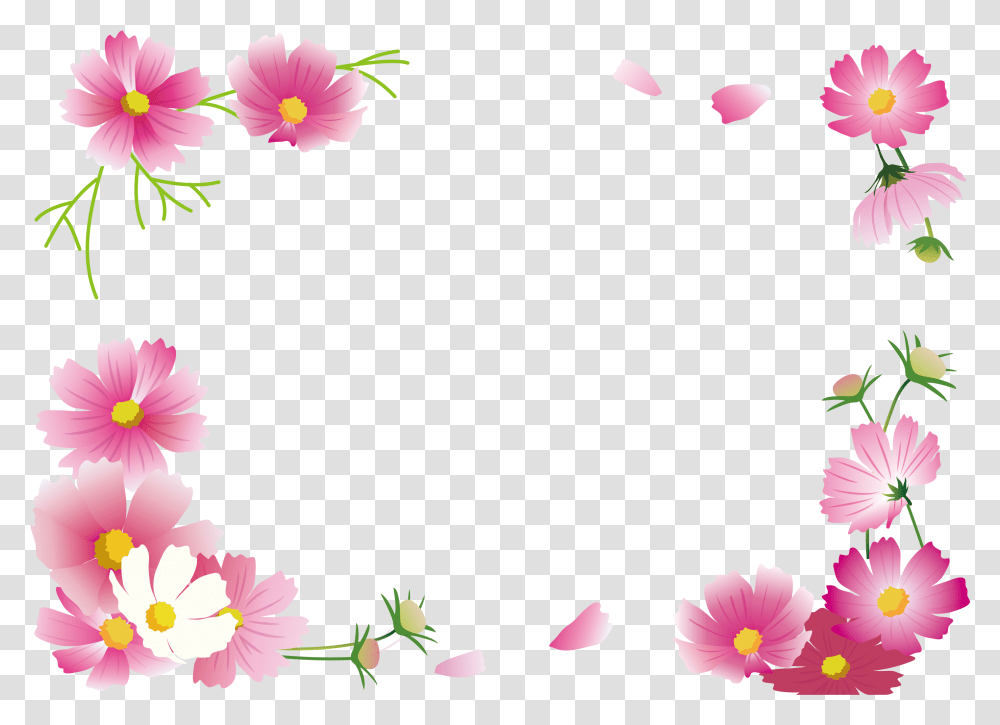 Make Frame Cosmos, Plant, Petal, Flower, Blossom Transparent Png