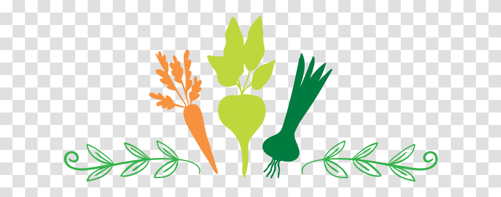Make Organic Vegetables Logo Design With Free Maker Vegetables Logo, Plant, Food, Produce, Root Transparent Png