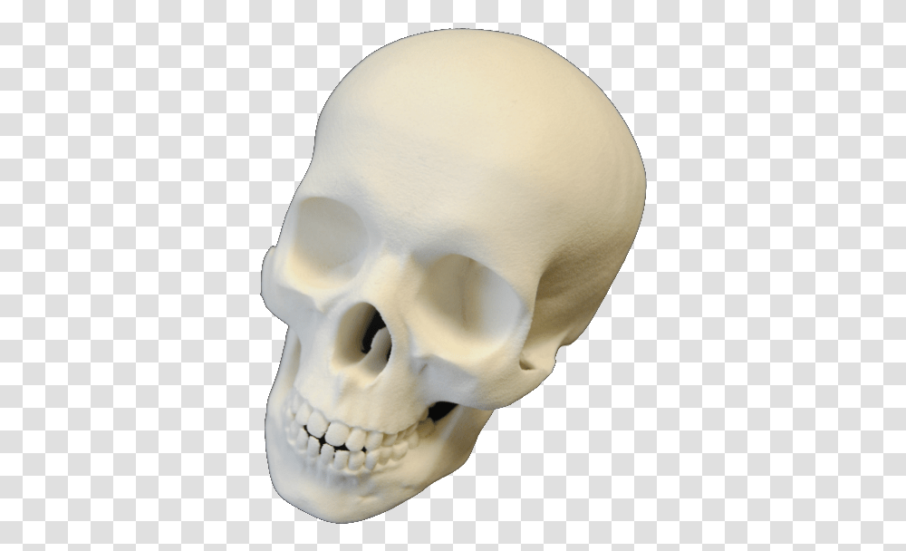 Makerbot Desktop 5th Generation 3d Printer Skull, Jaw, Teeth, Mouth, Lip Transparent Png