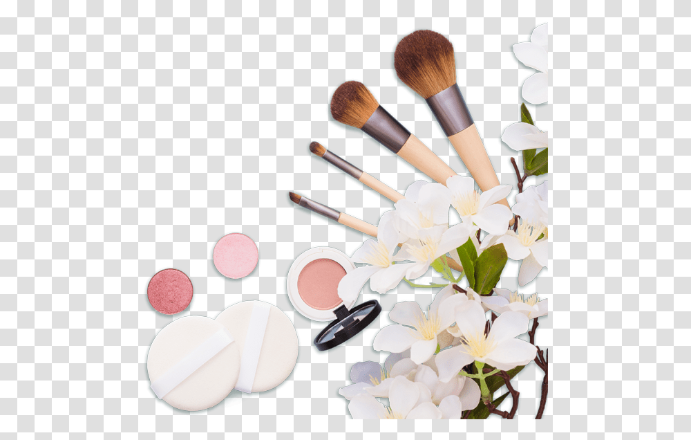 Makeup Brushes, Plant, Flower, Blossom, Cosmetics Transparent Png