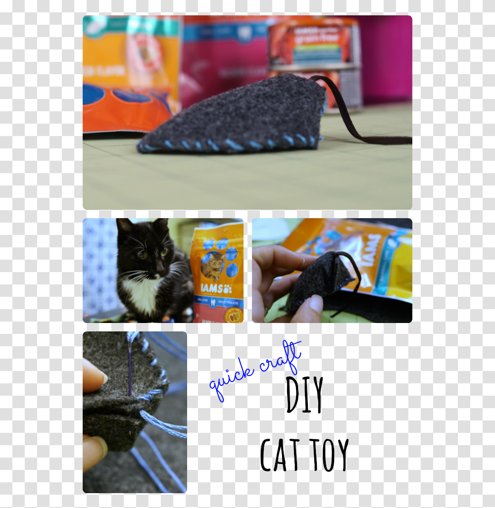 Making A Cat Toy Is Easier Than You Think Check Out, Collage, Poster, Advertisement, Pet Transparent Png