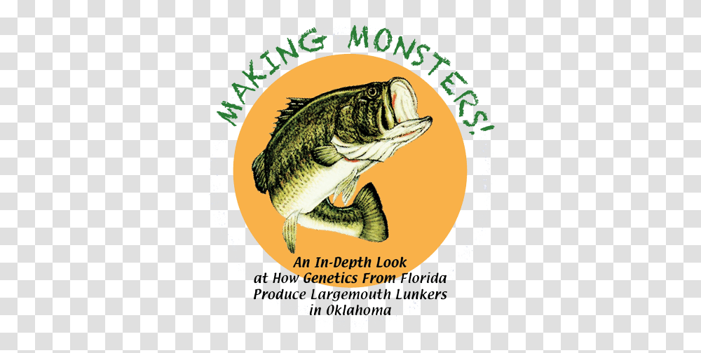 Making Monsters Bass, Perch, Fish, Animal, Bird Transparent Png