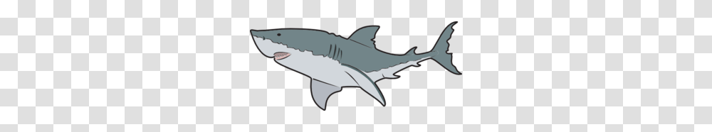Mako Shark Clipart Free Clipart, Sea Life, Fish, Animal, Great White Shark Transparent Png