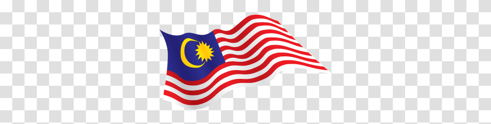 Malaysia Flag Wave, American Flag Transparent Png