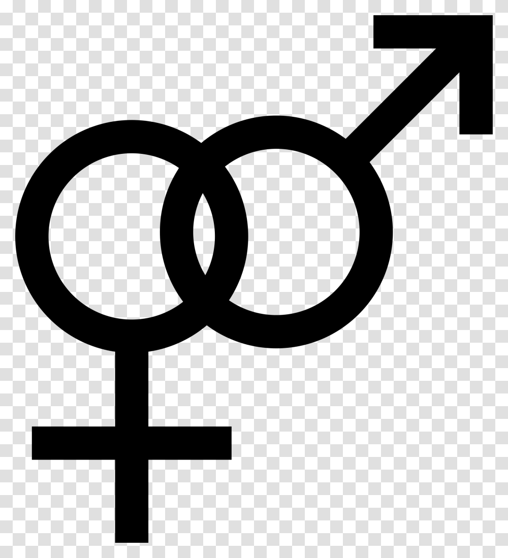 Male And Female Gender Icons Bisexual Symbol, Gray, World Of Warcraft Transparent Png