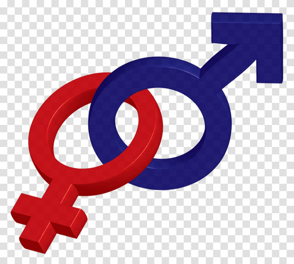 Male And Female Symbol Clipart Male Female Symbols, Key, Cross Transparent Png