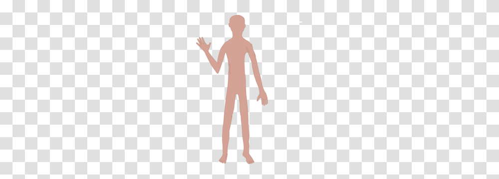 Male Body One Clip Art, Person, Standing, Female, People Transparent Png