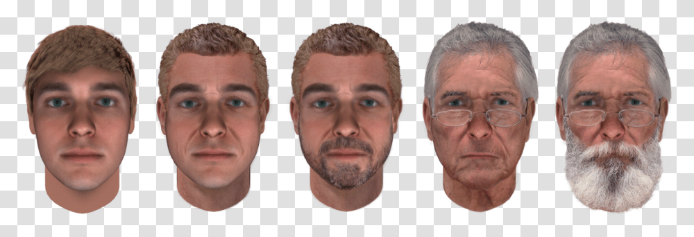 Male Facial Aging Chart, Head, Face, Person, Jaw Transparent Png