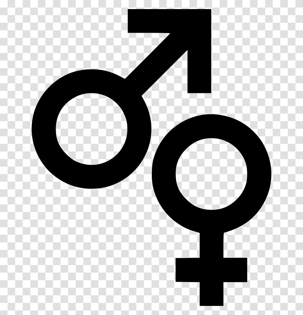 Male Female Symbols Sign Biology Symbol Of Male In Biology, Key, Cross, Number Transparent Png