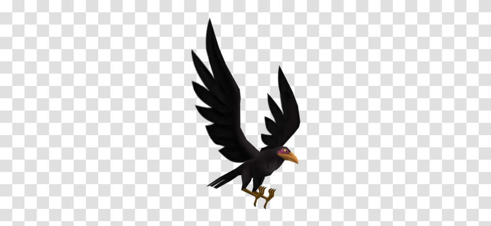 Maleficents Raven, Bird, Animal, Blackbird, Agelaius Transparent Png
