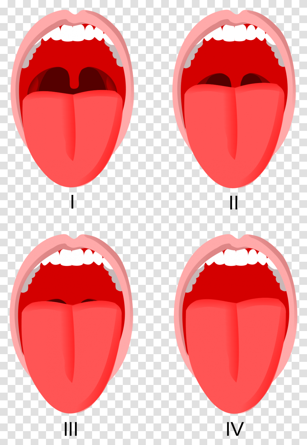 Mallampati, Mouth, Lip, Tongue Transparent Png