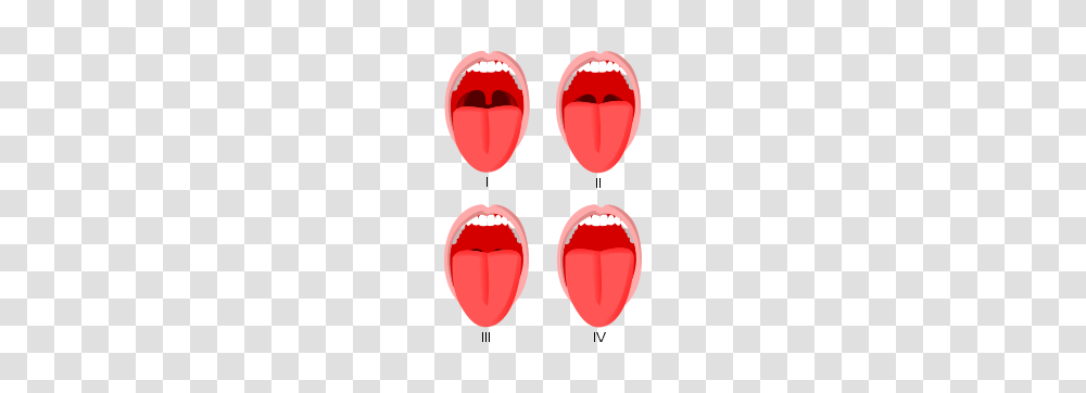 Mallampati Score, Mouth, Lip, Tongue Transparent Png