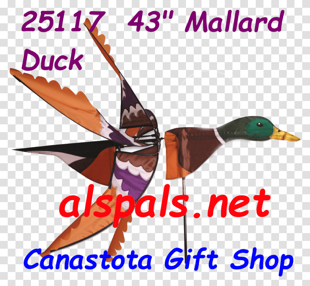 Mallard, Animal, Bird, Waterfowl Transparent Png