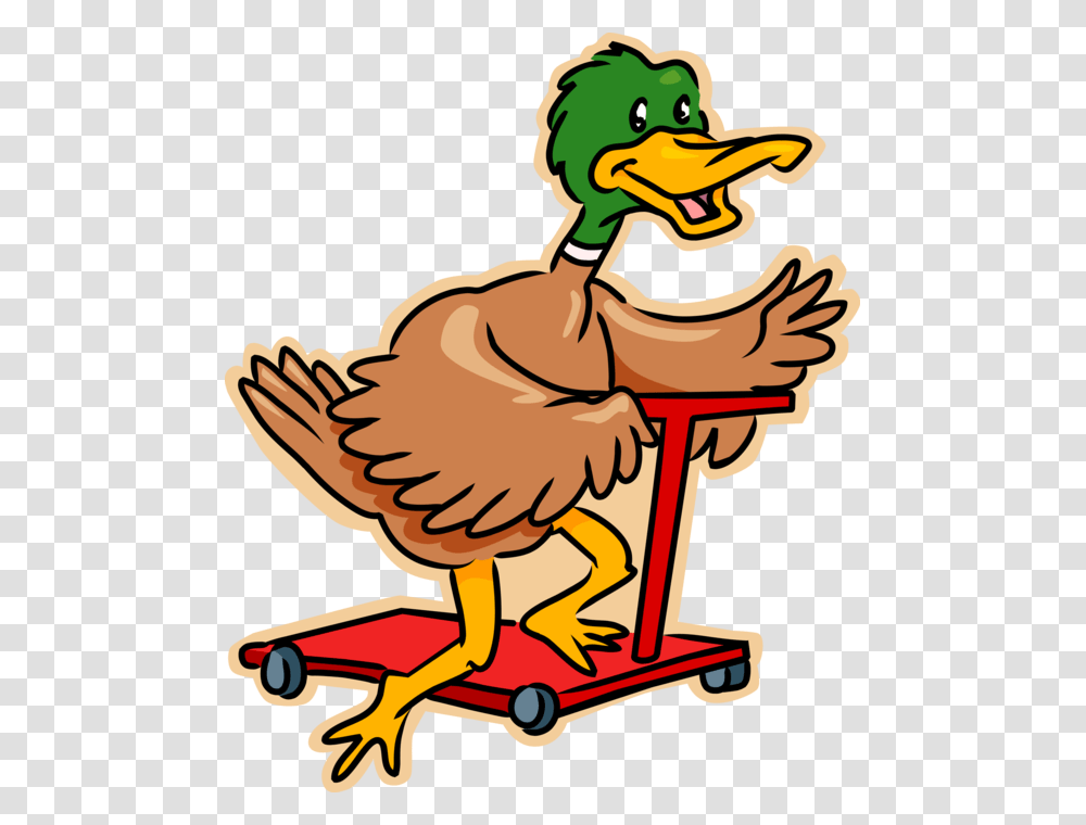 Mallard Duck Duck Riding A Scooter, Bird, Animal Transparent Png