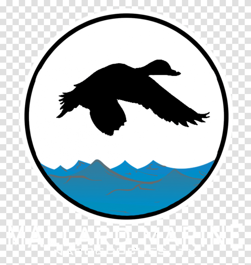 Mallard Duck, Logo, Trademark, Dog Transparent Png