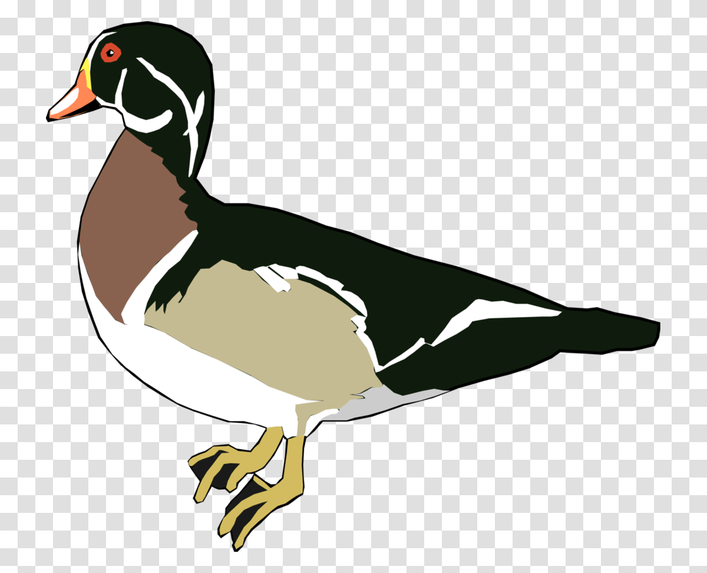 Mallard Wood Duck Water Bird Waterfowl, Animal, Goose, Anseriformes, Person Transparent Png