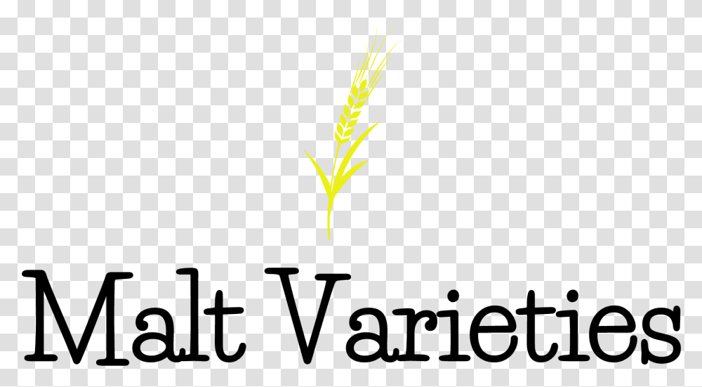 Malt The Brew Enthusiast Vertical, Plant, Green, Grass, Wheat Transparent Png