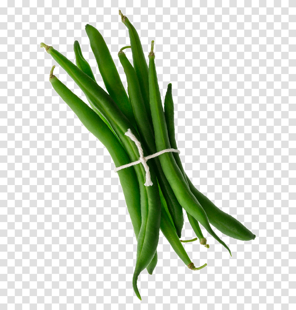 Mambo Product Images Green Beans Tilted Web Copy Orris Root, Plant, Vegetable, Food, Produce Transparent Png
