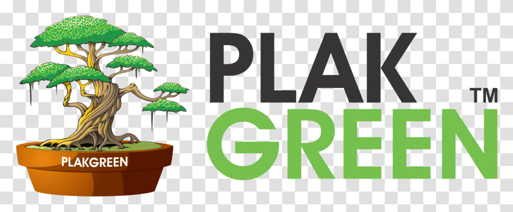 Mame Jade Plant Csp0005 - Plakgreen Cartoon Magic Tree, Potted Plant, Vase, Jar, Pottery Transparent Png