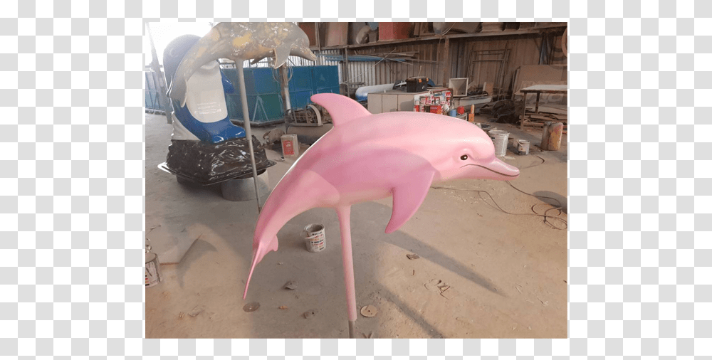 Mammal, Animal, Dolphin, Sea Life Transparent Png