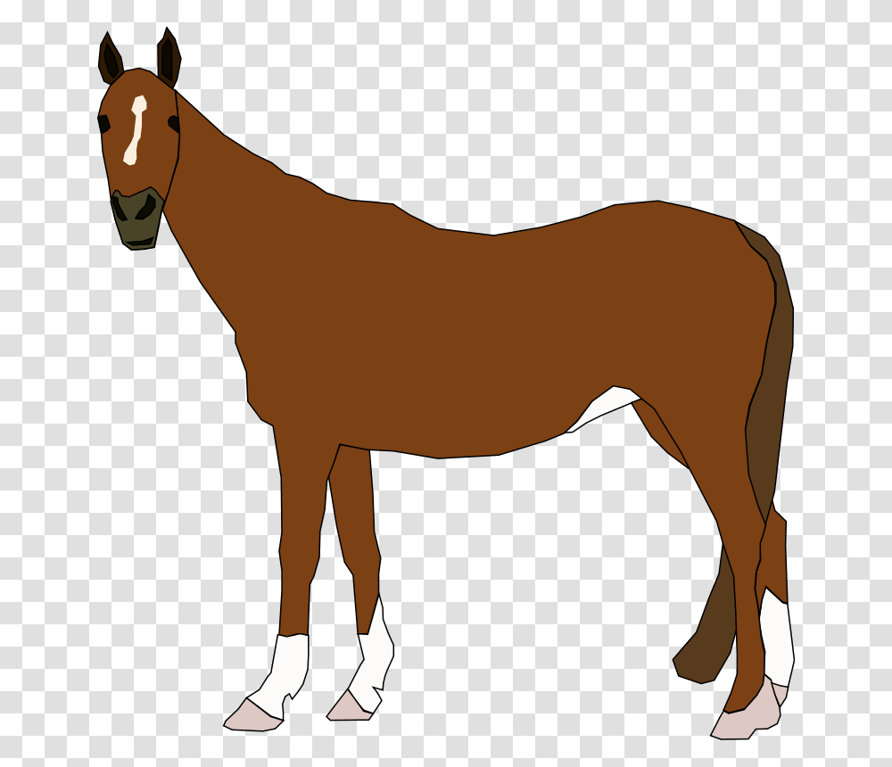 Mammal, Animal, Horse, Colt Horse Transparent Png