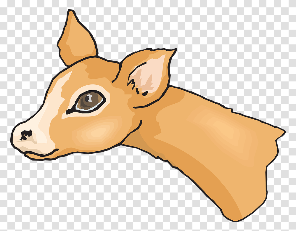 Mammal, Animal, Wildlife, Deer Transparent Png