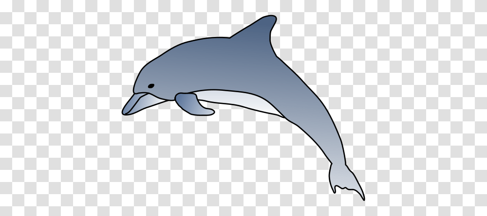 Mammal Clipart Bottlenose Dolphin, Animal, Sea Life, Bird Transparent Png