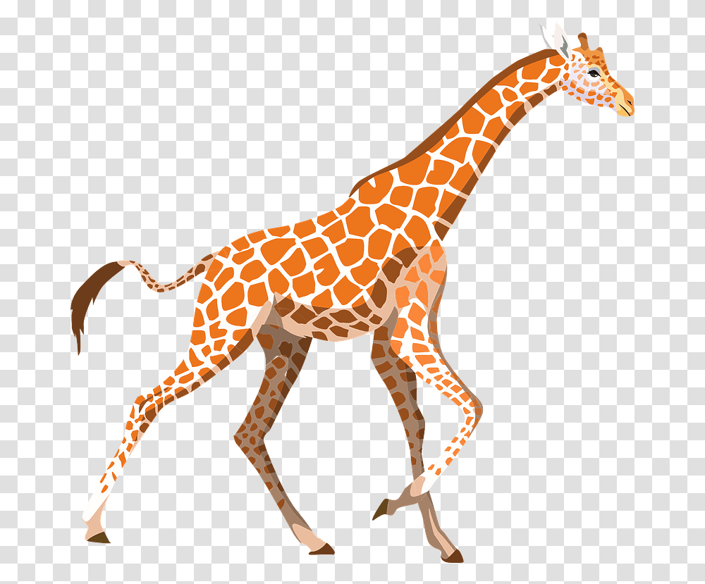 Mammal Clipart Giraffe Jirafas Cartoon Wild Animal, Wildlife Transparent Png